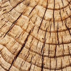 Indoor/Outdoor Faux Concrete Stump Accent Table Brown - Threshold™ Designed With Studio McGee -Quality Furniture Store GUEST 03deabfd 2b62 4725 94b4 09a321ea8678