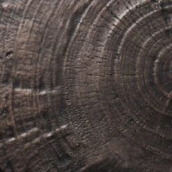 Grantsville Drum Accent Table Black - Threshold™ Designed With Studio McGee 10 Grantsville Drum Accent Table Black - Threshold™ Designed With Studio McGee -Quality Furniture Store GUEST 2a48e59f 9a1e 4d95 a641 6710dbd36ebe