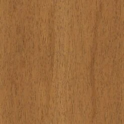 2pk Timo Dining Chair Cream - Threshold™ -Quality Furniture Store GUEST 5d779e0e 0b3d 4661 9e88 19bec517fd72