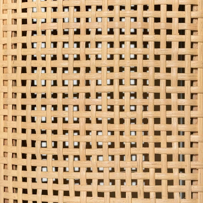 Portola Hills Caned Door TV Stand For TVs Up To 60" - Threshold™ Designed With Studio McGee 7 Portola Hills Caned Door TV Stand For TVs Up To 60" - Threshold™ Designed With Studio McGee - Image 5