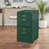 Dixie 2 Drawer Cabinet Green - Buylateral 2 Dixie 2 Drawer Cabinet Green - Buylateral -Quality Furniture Store GUEST cffd6f1a 3821 433e a721 80becbab625e